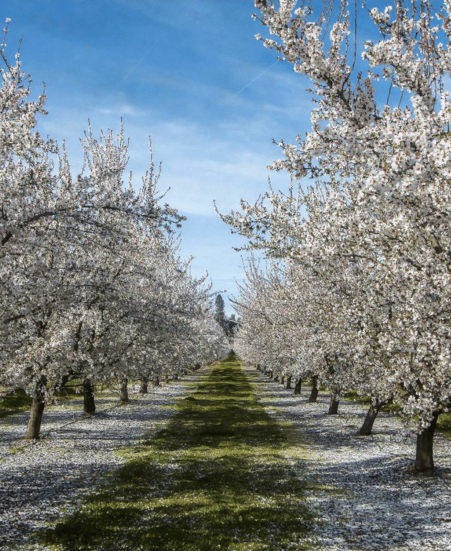 czM6Ly9tZWRpYS1wcml2YXRlLmNhbnZhLmNvbS9NQUM5M09xcG43ay8xL3ByaW50LmpwZw